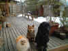01-2-12.jpg (35907 バイト)