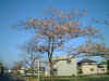 01-5-11.jpg (40242 バイト)