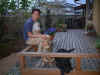 01-5-5.jpg (43030 バイト)