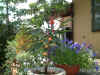 01-6-8.jpg (46891 バイト)