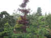 02-5-11.jpg (41109 バイト)