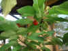 02-5-31.jpg (36073 oCg)
